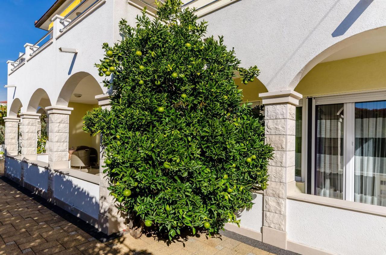 Apartments Palm Tree Trogir Dış mekan fotoğraf